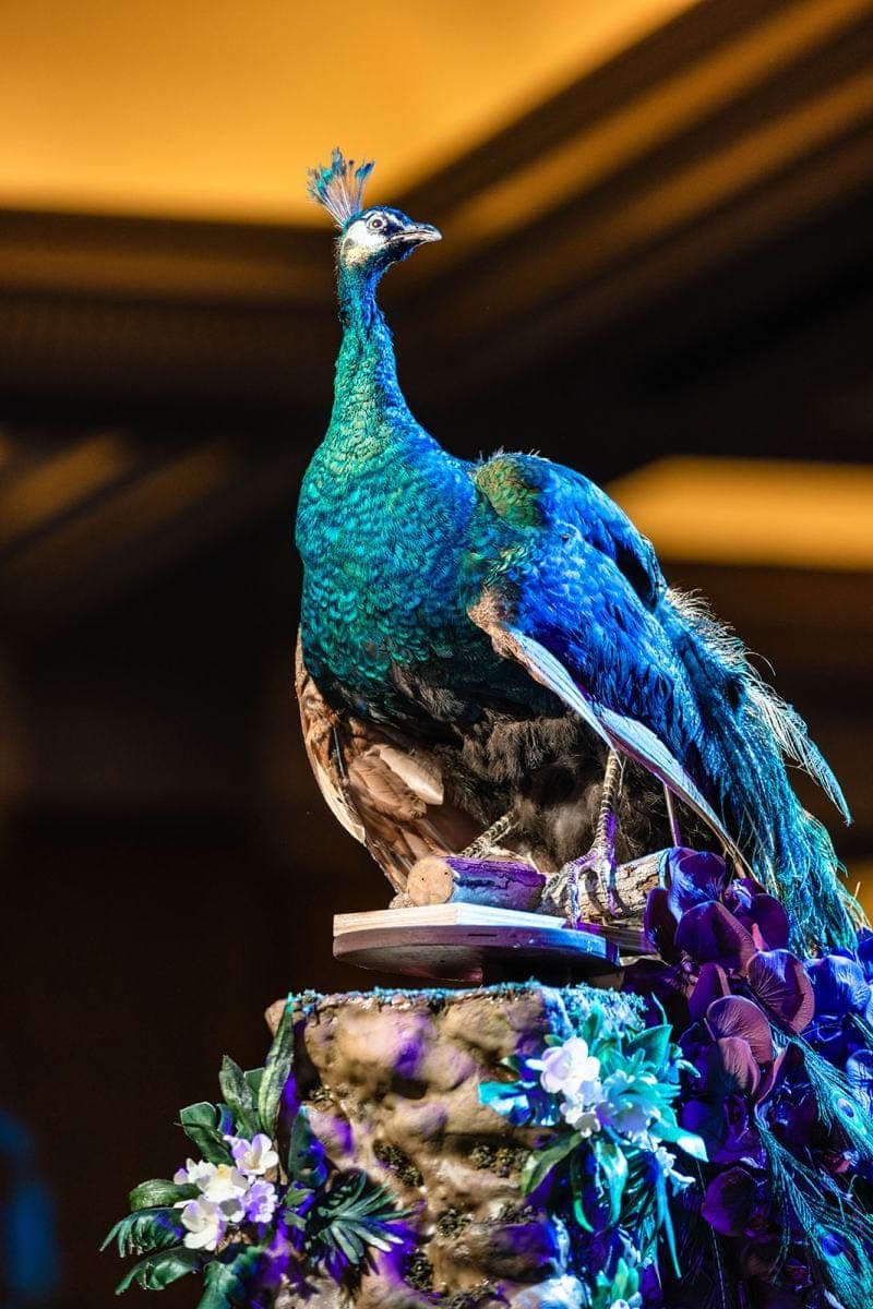A Caesars Palace Wedding, photo 24