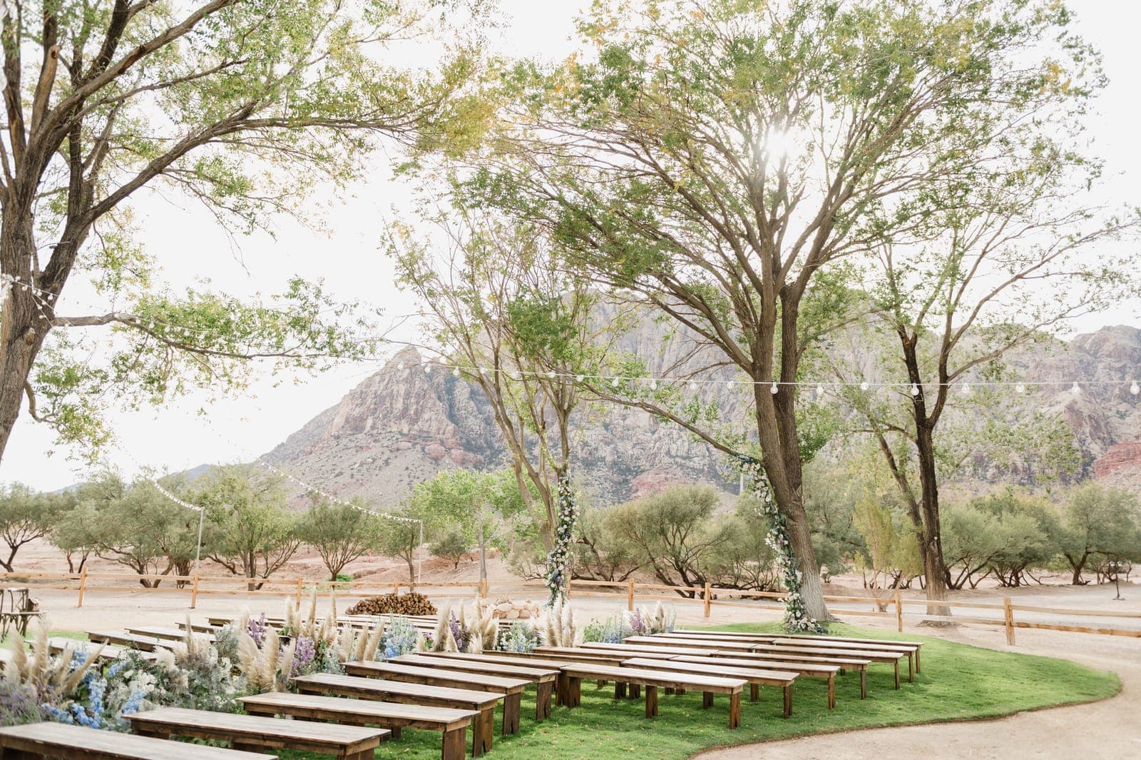 Erin & Paul at Red Rock, photo 21