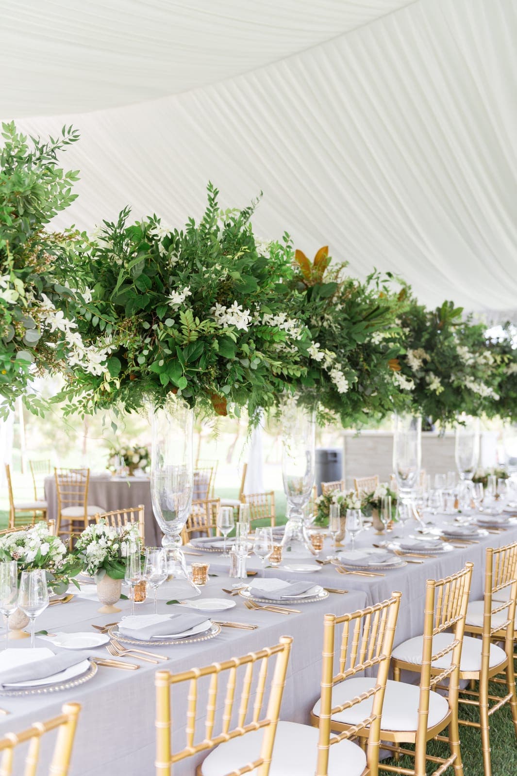 A tented reception at Southern Highlands with clouds of greenery over long tables and gold chairs, designed by Scheme Events